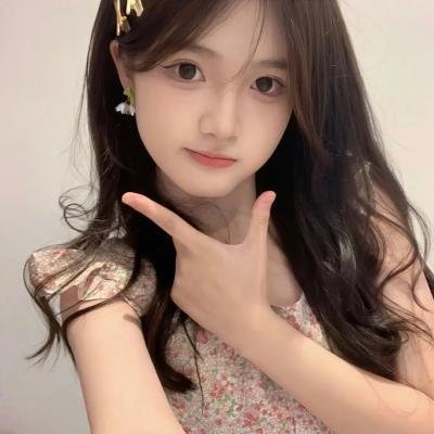 完美的骗子